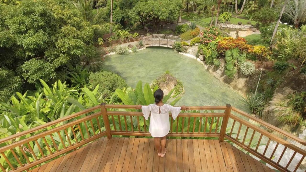 Villa Du Jardin Botanique, Ex. Propriete Coluche 데샤이에스 외부 사진