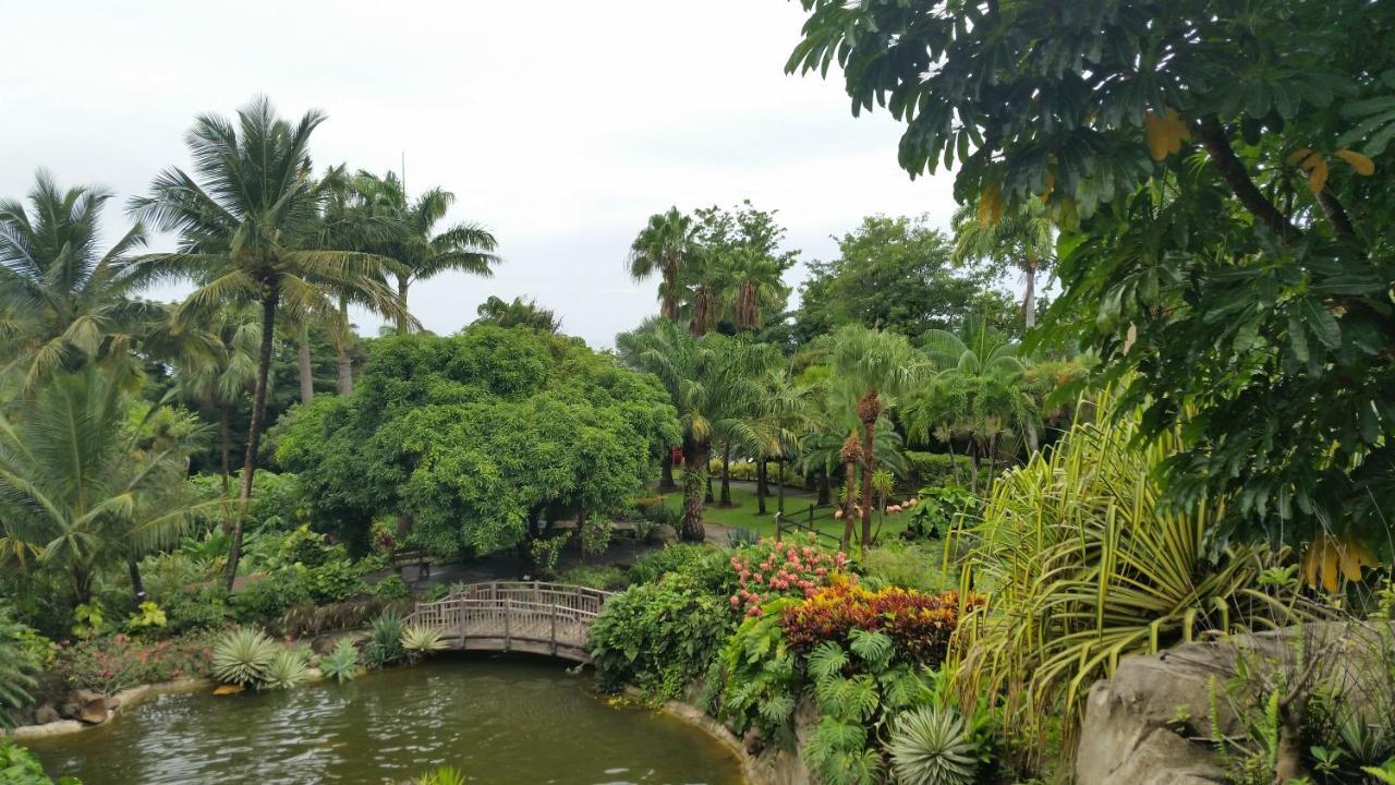 Villa Du Jardin Botanique, Ex. Propriete Coluche 데샤이에스 외부 사진